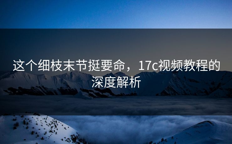 这个细枝末节挺要命，17c视频教程的深度解析