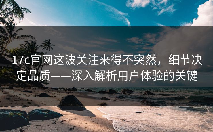 17c官网这波关注来得不突然,细节决定品质——深入解析用户体验的关键