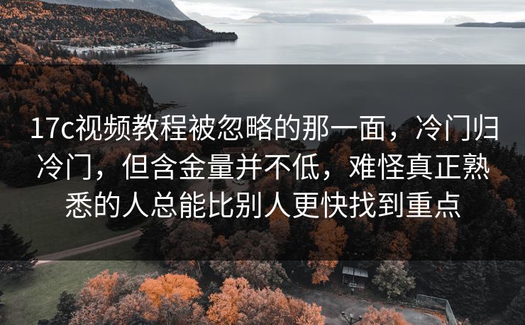 17c视频教程被忽略的那一面,冷门归冷门,但含金量并不低,难怪真正熟悉的人总能比别人更快找到重点 17c视频教程被忽略的那一面,冷门归冷门,但含金量并不低,难怪真正熟悉的人总能比别人更快找到重点