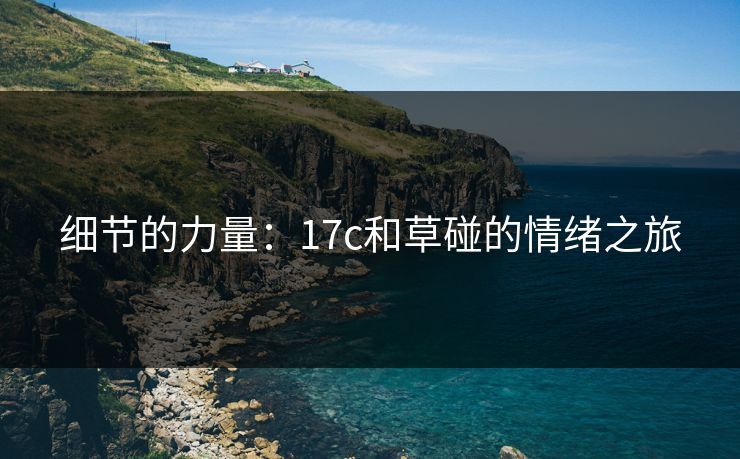 细节的力量:17c和草碰的情绪之旅