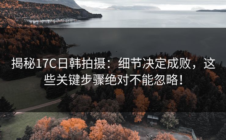 揭秘17C日韩拍摄：细节决定成败，这些关键步骤绝对不能忽略！